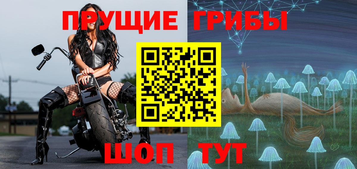 Тара  Псилоцибиновые грибы прущие грибы  Вход с VPN  Псилоцибиновые грибы мухоморы 