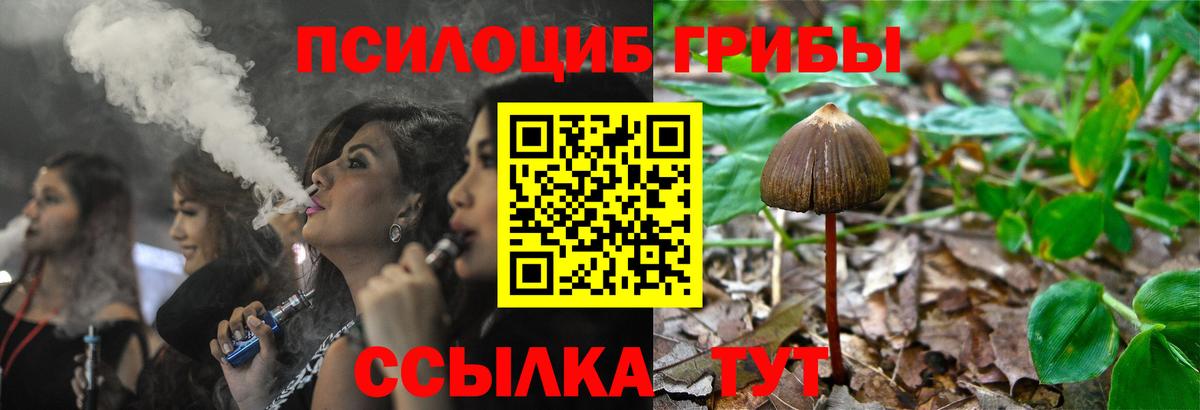Псилоцибиновые грибы Psilocybine cubensis Тара